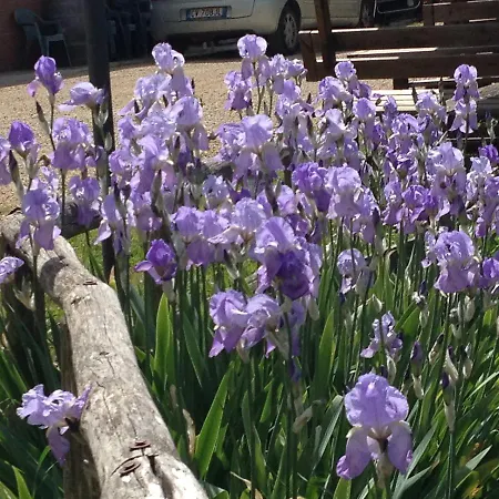 Alloggio per agriturismo Il Sambuco
