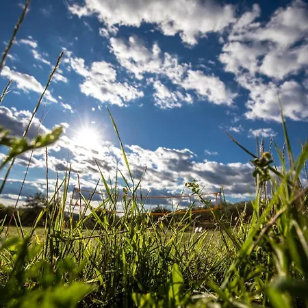 Il Sambuco Alloggio per agriturismo *