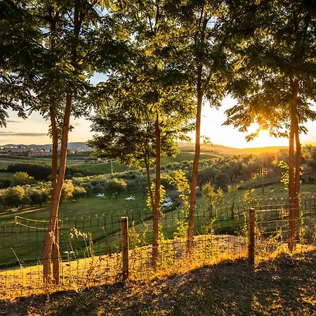 Alloggio per agriturismo Il Sambuco Siena