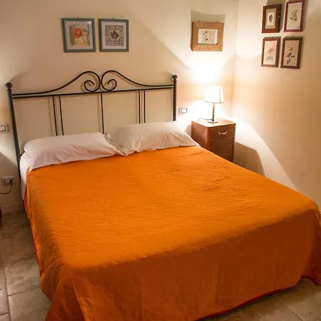 Il Sambuco Alloggio per agriturismo Siena