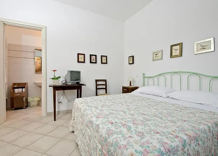 Il Sambuco Agroturismo *