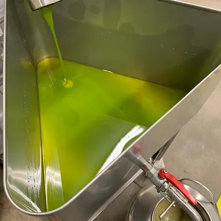 阿格里图丽斯莫伊尔桑布科酒店 * 锡耶纳