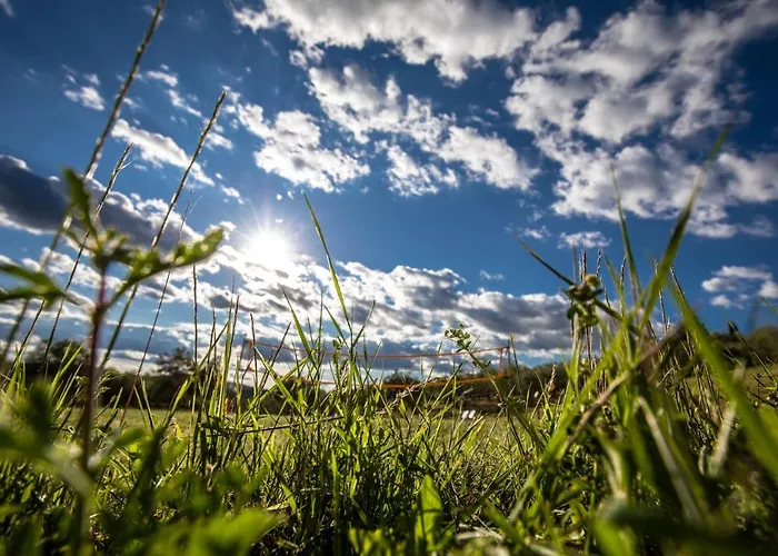 Il Sambuco ファームステイ *